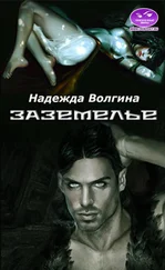 Надежда Волгина - Заземелье [СИ]