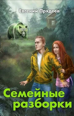 Евгений Прядеев Семейные разборки обложка книги