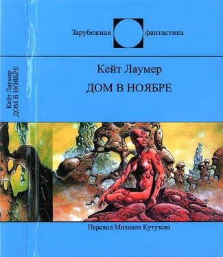 Кейт Лаумер Дом в ноябре обложка книги