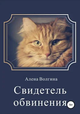 Алёна Волгина Свидетель обвинения обложка книги