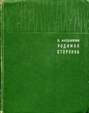 Павел Макшанихин Родимая сторонка обложка книги