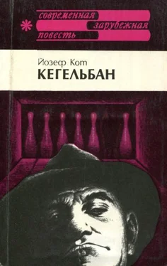 Йозеф Кот Кегельбан обложка книги