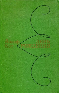 Йозеф Кот День рождения обложка книги