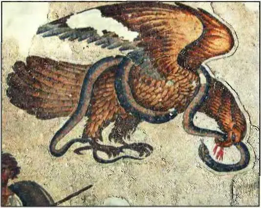 Орел терзающий змею Мозаика Большого дворца в Константинополе VI в - фото 120