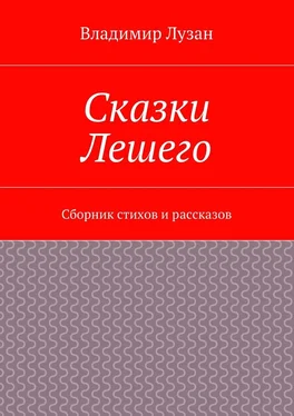 Владимир Лузан Сказки Лешего. Сборник стихов и рассказов обложка книги