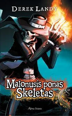 Дерек Ленди Malonusis ponas Skeletas обложка книги