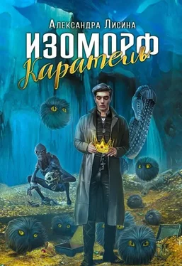 Александра Лисина Каратель [СИ] обложка книги