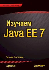 Энтони Гонсалвес - Изучаем Java EE 7