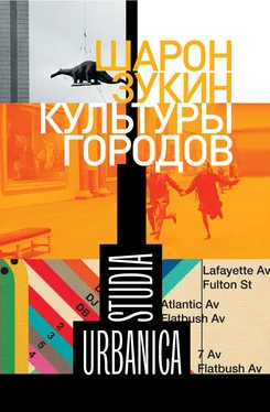 Шарон Зукин Культуры городов [litres] обложка книги