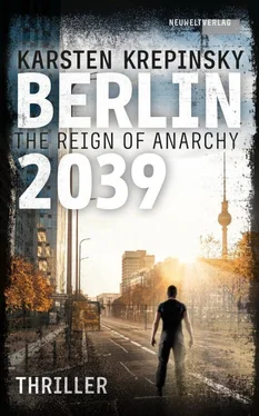 Karsten Krepinsky Berlin 2039: The Reign of Anarchy обложка книги