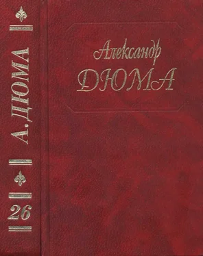 Александр Дюма А. Дюма. Собрание сочинений. Том 26. Белые и синие обложка книги