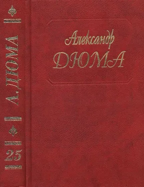 Александр Дюма А. Дюма. Собрание сочинений. Том 25.Соратники Иегу. обложка книги