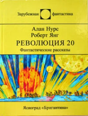 Роберт Янг Космическая птица Рух обложка книги