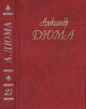 Александр Дюма А. Дюма. Собрание сочинений. Том 21. Анж Питу 1995. обложка книги