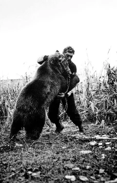 Витольд Шабловский Танцующие медведи. Опыт обретения свободы обложка книги