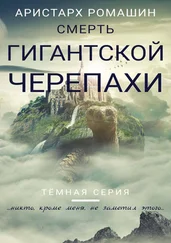 Аристарх Ромашин - Смерть гигантской черепахи