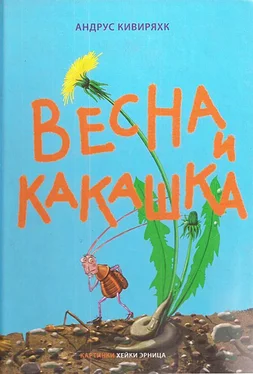 Андрус Кивиряxк Весна и какашка обложка книги