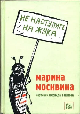 Марина Москвина Не наступите на жука обложка книги