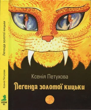 Ксенія Петухова Легенда золотої кицьки обложка книги