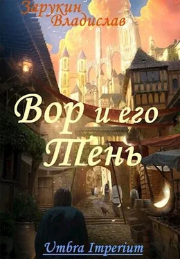 Владислав Зарукин Вор и его Тень обложка книги