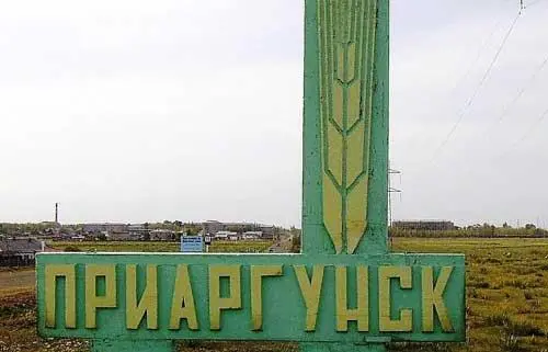 Сытно откинувшись ковыряю в зубах свернутой салфеткой до зубочисток сервиз - фото 53