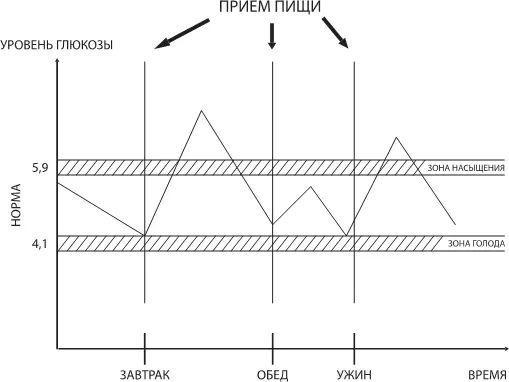 Рис 5 Колебания сахара в крови Эти являются следствием колебаний уровня - фото 8