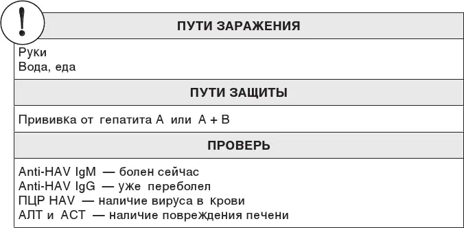Почему же так происходит и что это за инкубационный период Это все сила печени - фото 34