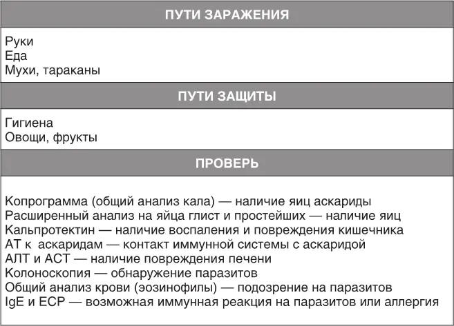 Найти аскарид несложно Иногда их даже можно увидеть в испражнениях или - фото 64