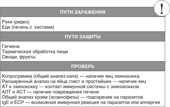 Некоторым людям как всегда везет и они получают эхинококк не из травы или - фото 68