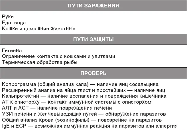 Всех сосальщиков видно на УЗИ когда их много Если мало то можно обнаружить - фото 72