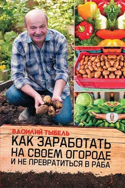 Василий Тыбель Как заработать на своем огороде и не превратиться в раба обложка книги