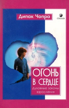 Дипак Чопра Огонь в сердце. Духовные законы взросления. обложка книги