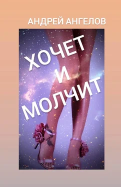 Андрей Ангелов Хочет и молчит обложка книги