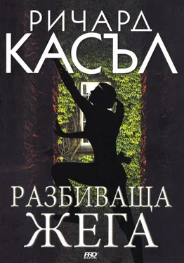 Ричард Касъл Разбиваща жега обложка книги