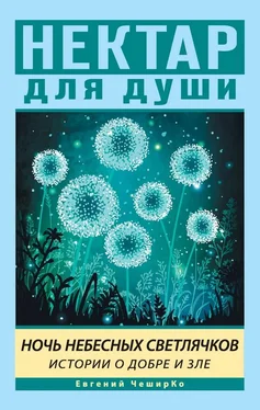 Евгений ЧеширКо Ночь Небесных Светлячков. Истории о Добре и Зле обложка книги