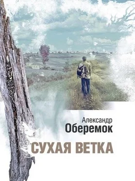 Александр Оберемок Сухая ветка обложка книги