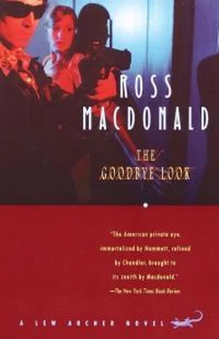 Росс Макдональд The Goodbye Look обложка книги