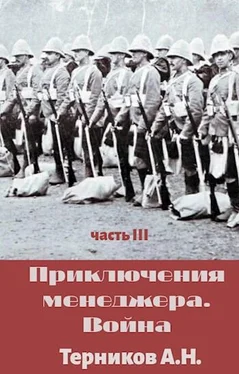 Александр Терников Приключения менеджера. Война обложка книги