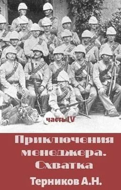 Александр Терников Приключения менеджера. Схватка обложка книги