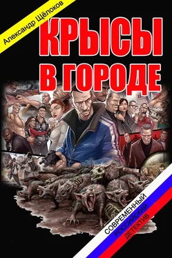 Александр Щелоков Крысы в городе обложка книги