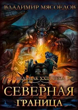 Владимир Мясоедов Северная граница [СИ] обложка книги