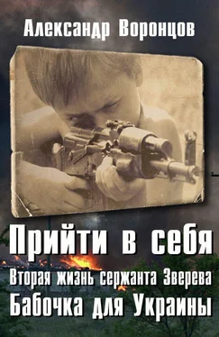 Александр Воронцов Бабочка для Украины