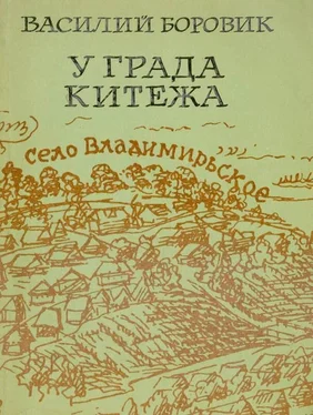 Василий Боровик У града Китежа [Хроника села Заречицы] обложка книги