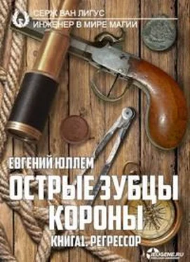 Евгений Юллем Острые зубцы короны. Книга 1. Регрессор обложка книги