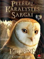 Кэтрин Ласки - Kelionė