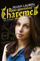 Jillian Lauren - Mano gyvenimas hareme - kaip aš dirbau Sultono vakarėliuose