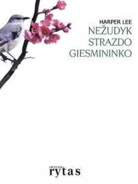 Харпер Ли Nežudykit strazdo giesmininko обложка книги