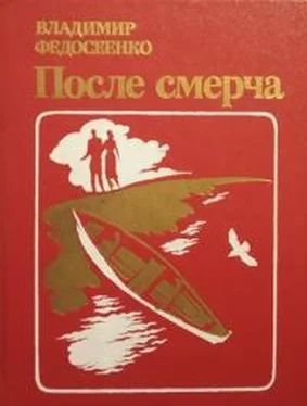 Владимир Федосеенко После смерча обложка книги