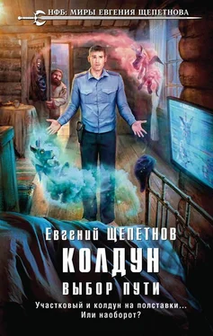 Евгений Щепетнов Колдун. Выбор Пути. обложка книги