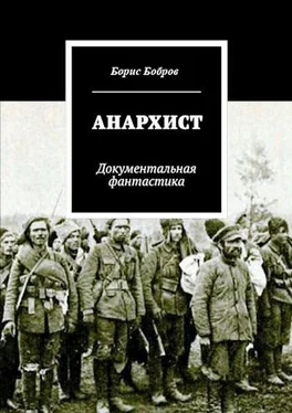 Борис Рогов Анархист обложка книги